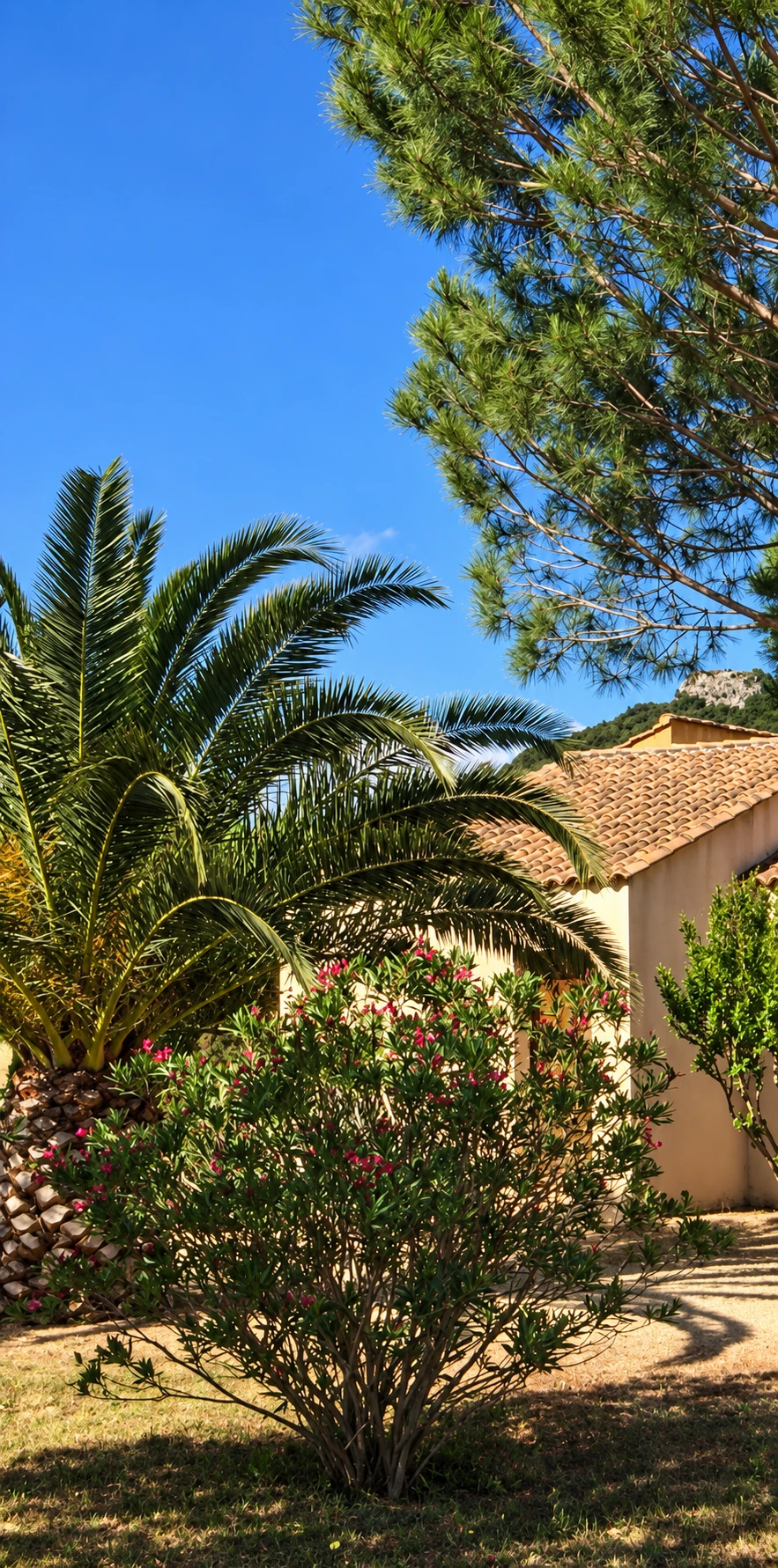 Jardin et villa des Villas Clos Grégoire à Patrimonio